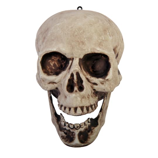 8" Articulated Jaw Skull Tabletop Décor by Ashland®